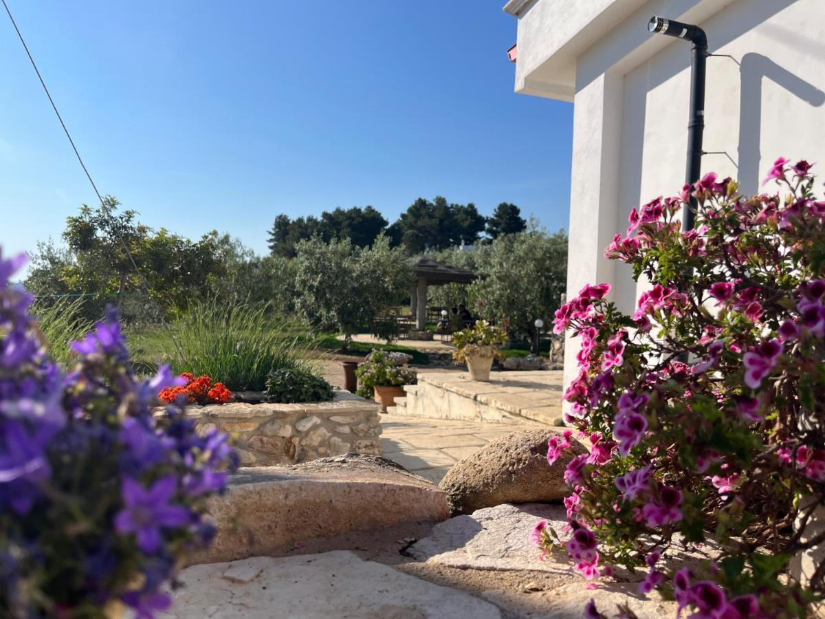 B&B Le Cicale Vieste Eksteriør billede