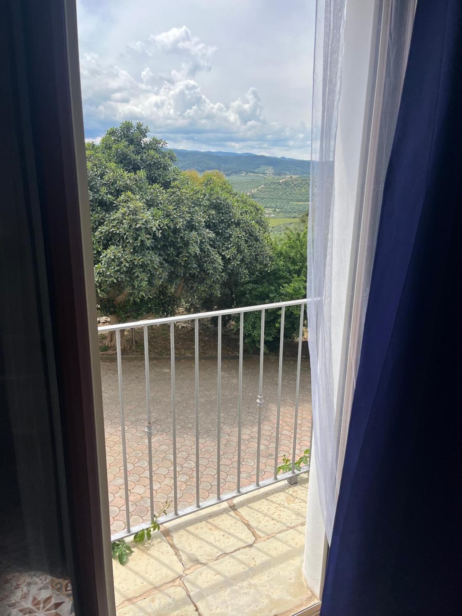 B&B Le Cicale Vieste Eksteriør billede