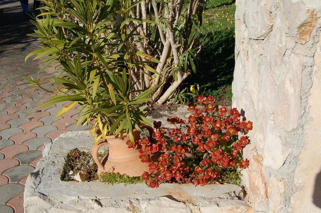 B&B Le Cicale Vieste Eksteriør billede